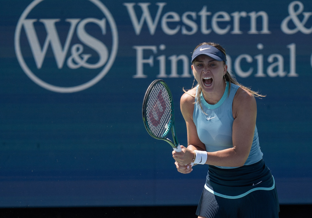 在转会窗口 在转会窗口