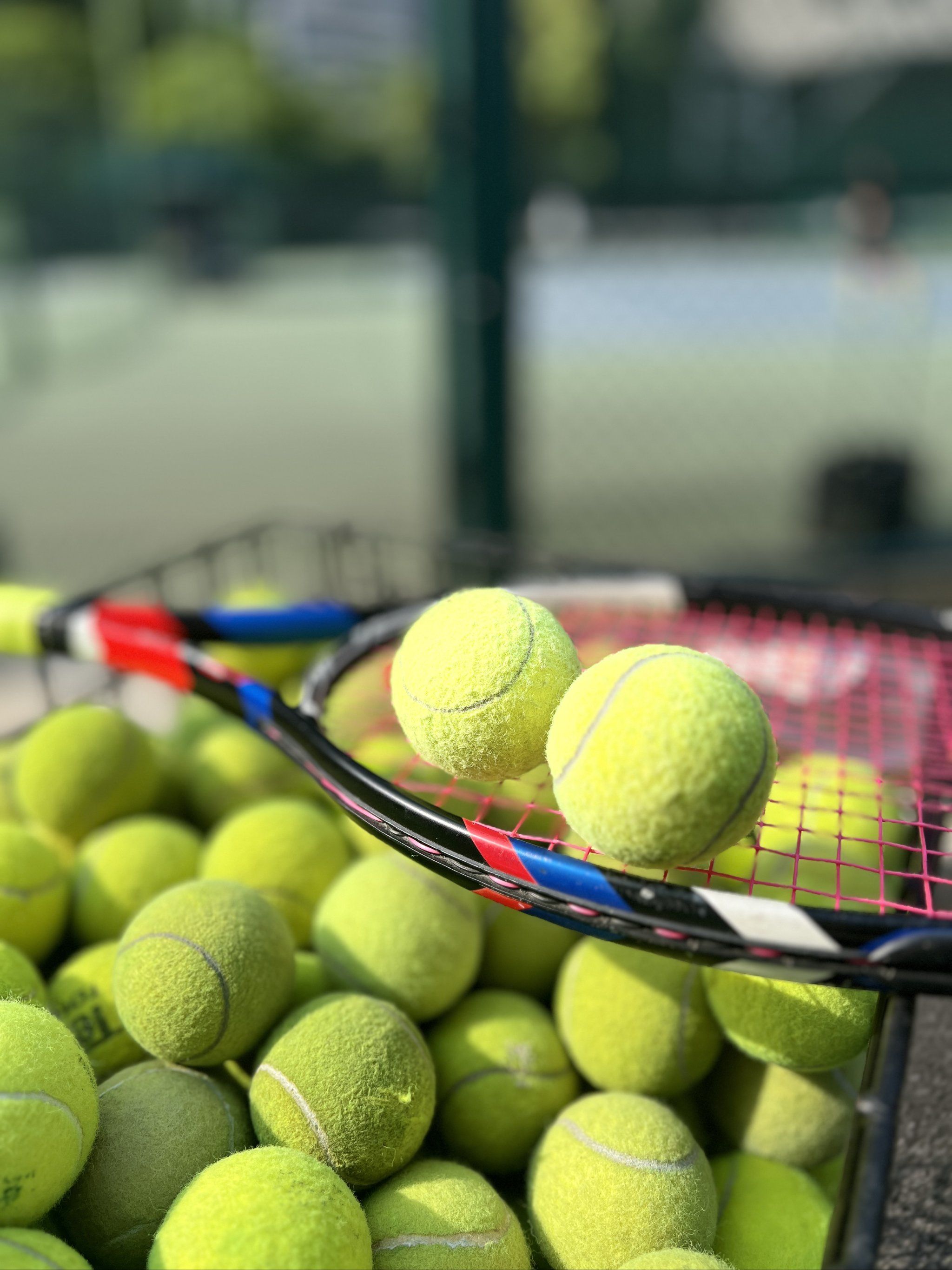 更有搜索优 更有搜索优